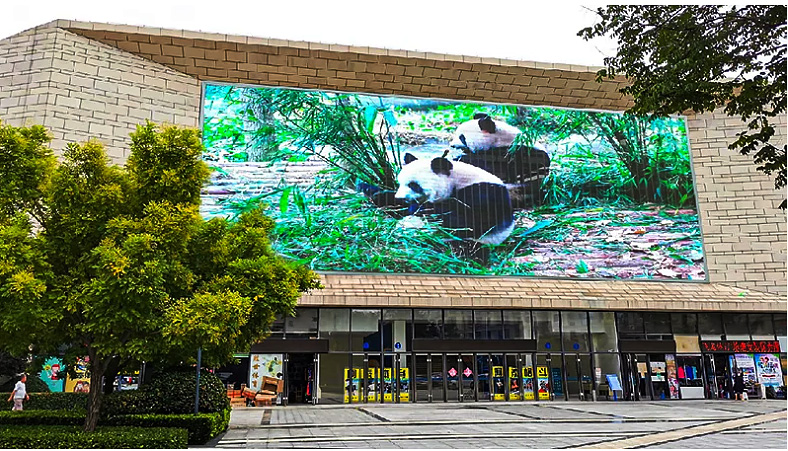 圖片6.png 圖片6.png